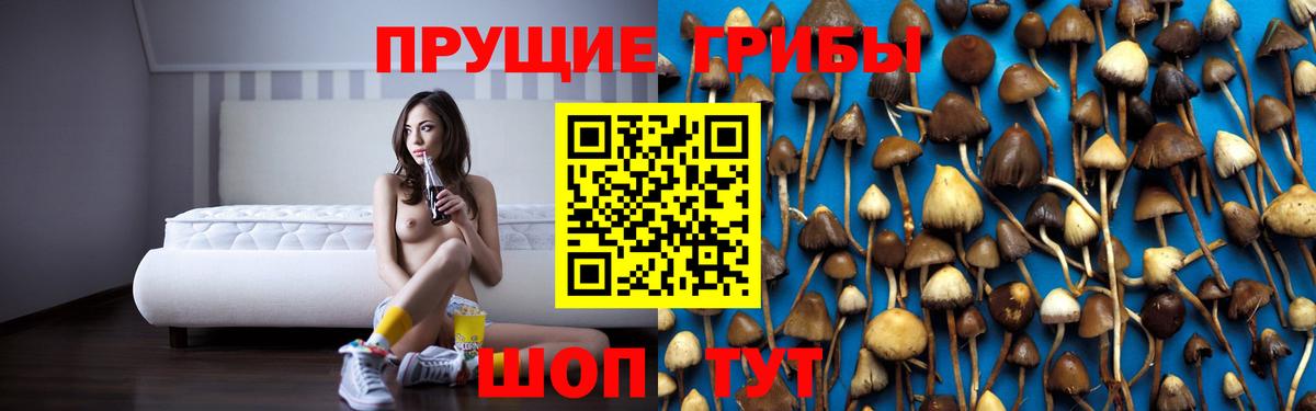 Галлюциногенные грибы GOLDEN TEACHER  Вход с VPN  Искитим 